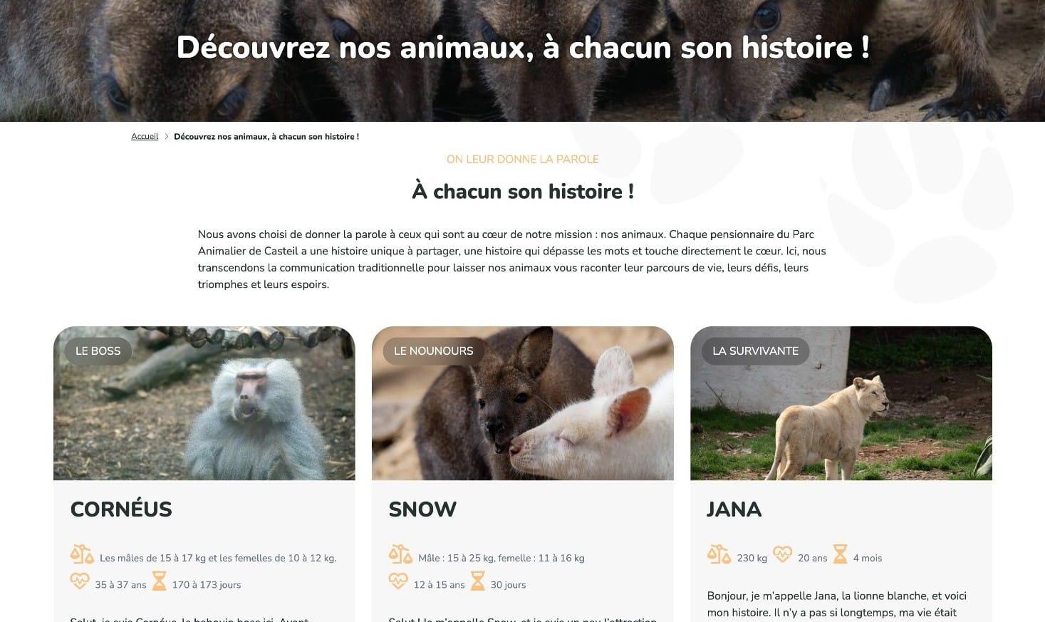 Section web présentant trois animaux et leur histoire, photos et descriptions pour chaque profil.