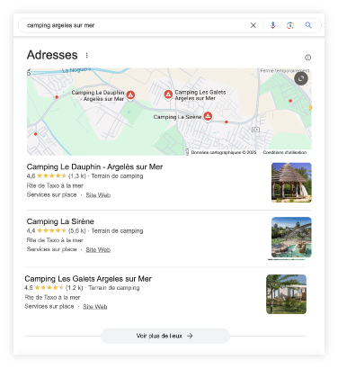Résultat Google "camping argeles sur mer", carte et trois campings listés avec avis et photos.