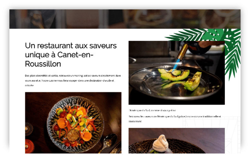 Page web raffinée présentant plats gastronomiques, chef, palmier graphique et titre sur Canet-en-Roussillon.