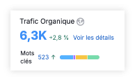 Indicateur "Trafic Organique" 6,3K en bleu, hausse +2,8 %, barres colorées, lien "Voir les détails".