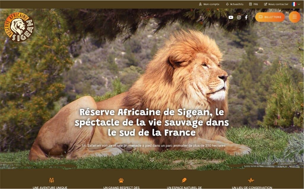 Lion majestueux allongé dans l'herbe, texte en français sur réserve africaine, menu web visible.