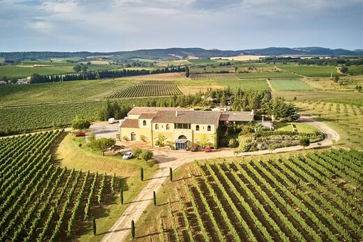 Vue aérienne d'une villa entre vignes, verdure, et collines, accès soigné par allée arborée.