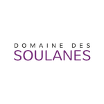 DOMAINE DES SOULANES centré, noir et violet sur fond gris clair, style épuré et impact visuel maîtrisé.