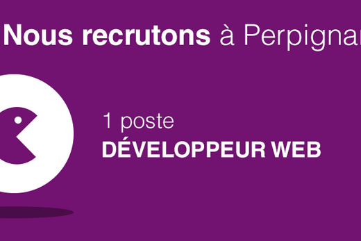 Fond violet, texte blanc : "Nous recrutons à Perpignan, 1 poste Développeur Web", logo Nematis stylisé à gauche.