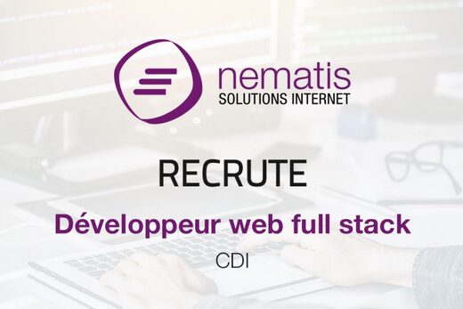 Annonce Nematis : développeur full stack CDI, saisie clavier, écrans et logo Nematis sur fond clair.